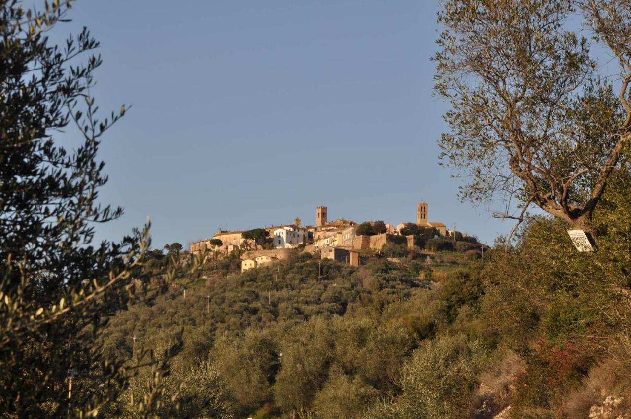 Le Logge Casa Vacanze Montepescali 外观 照片