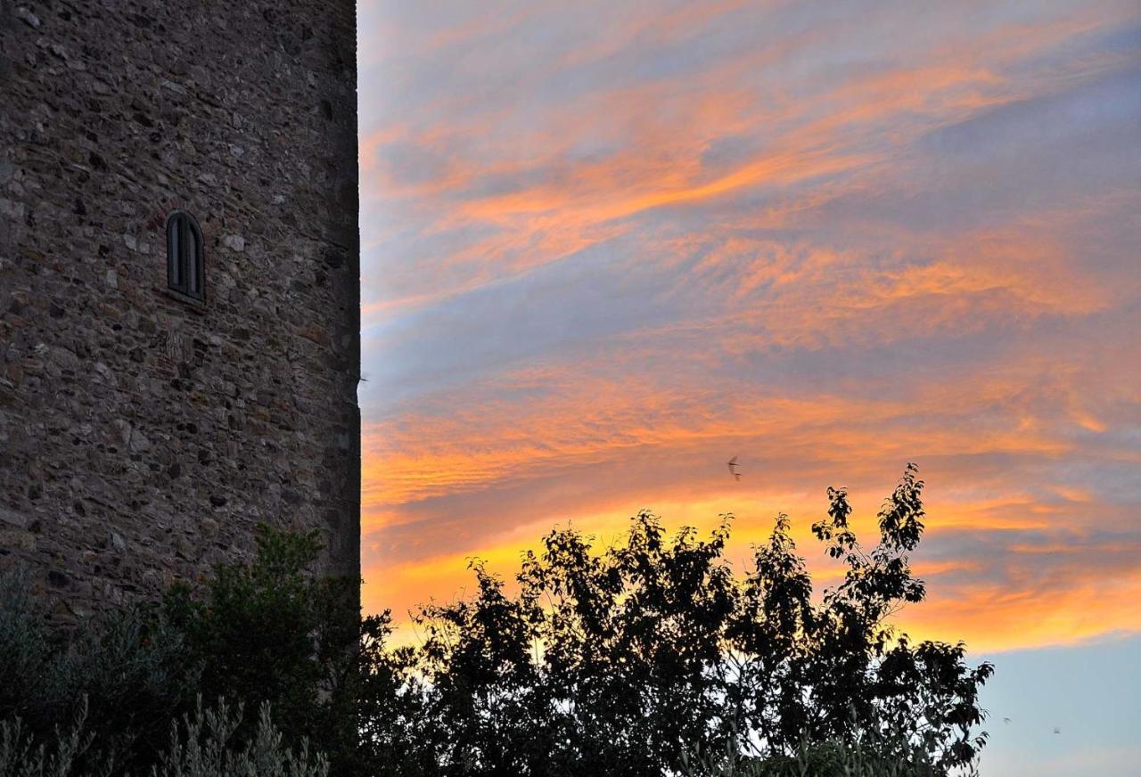Le Logge Casa Vacanze Montepescali 外观 照片